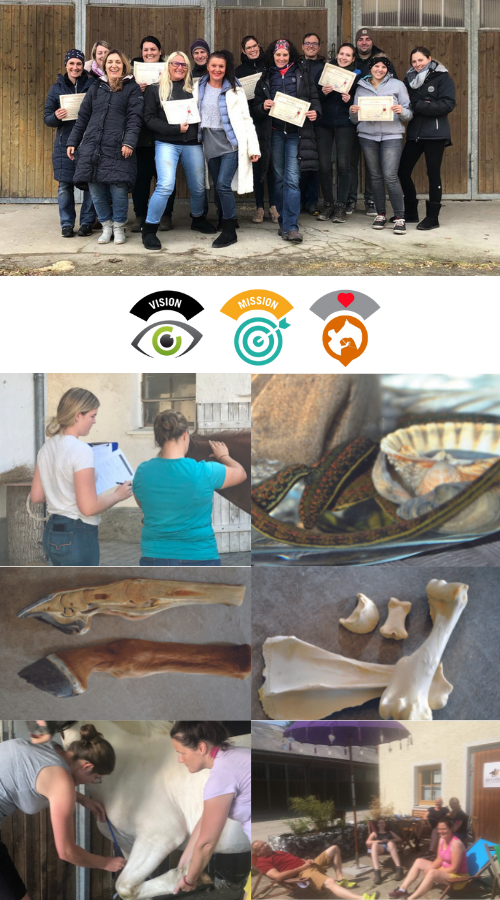 ekvedo Pferdeosteopathie Ausbildung