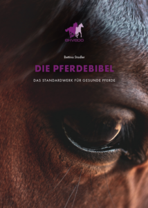 Die Pferdebibel