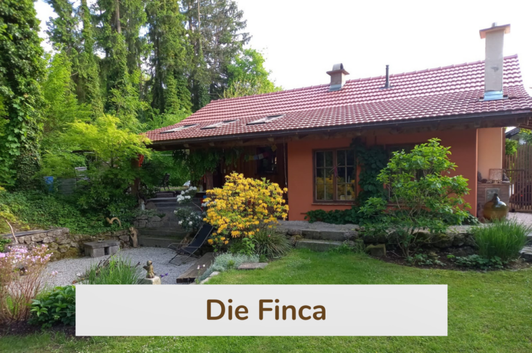 finca